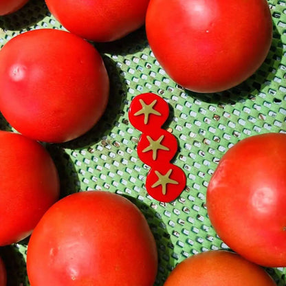 Red Tomato Hair Clip
