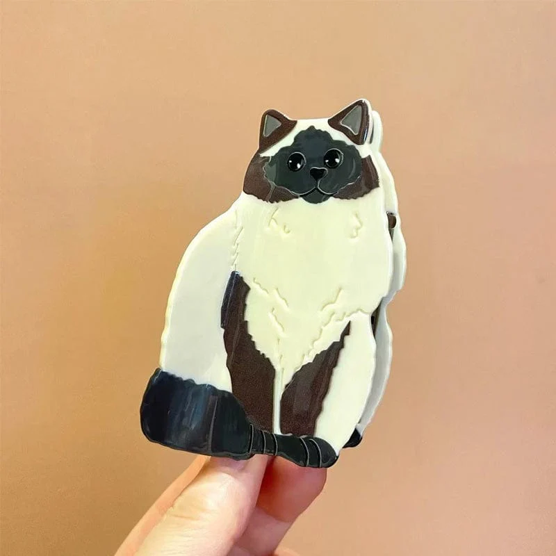 Medium Seal Point Ragdoll Cat Hair Claw