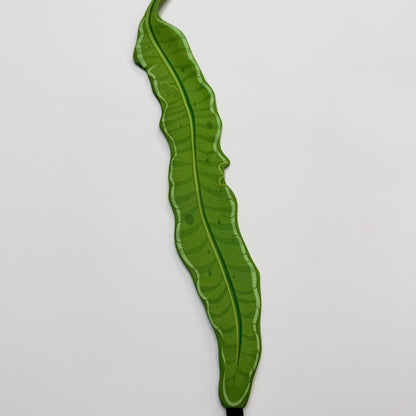 Seaweed Wristband with Phone Lanyard