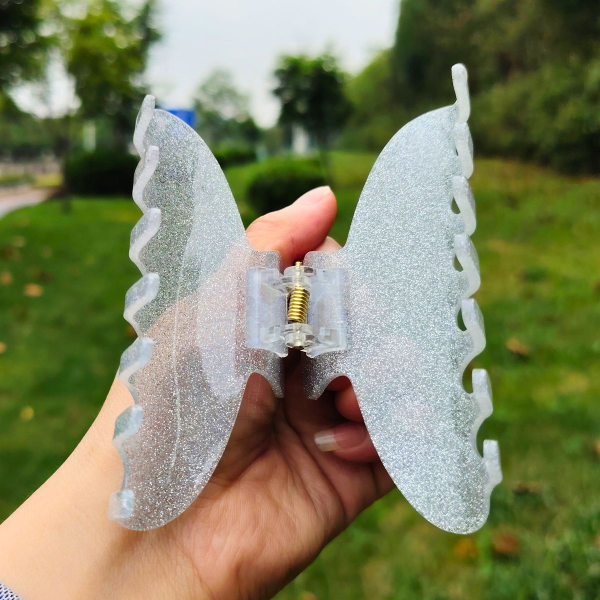 蓝环章鱼毛爪