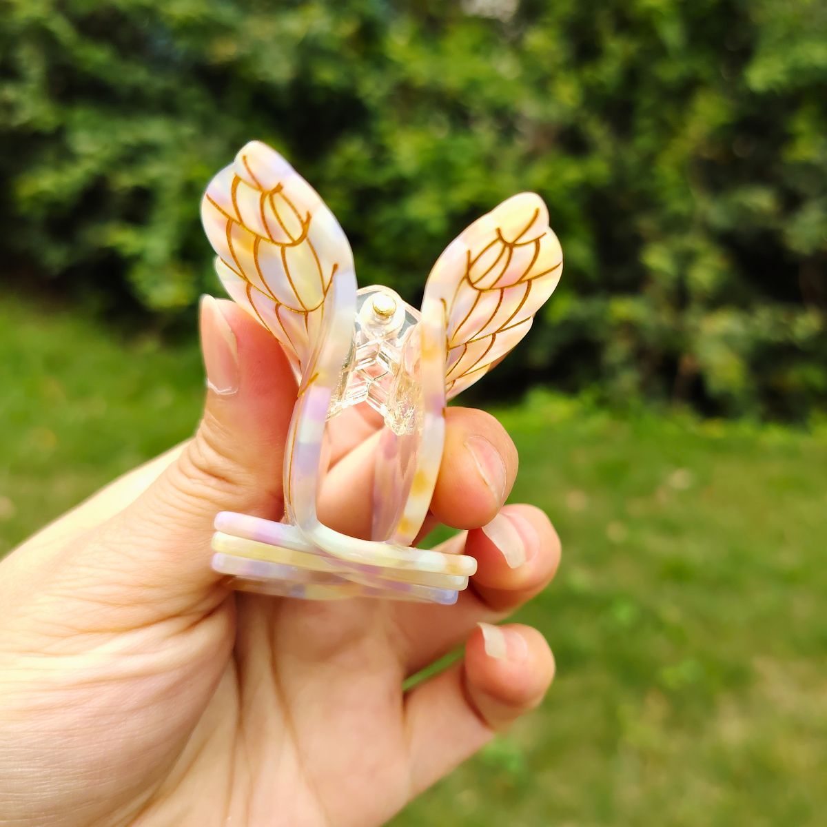 金蜘蛛海螺醋酸纤维爪