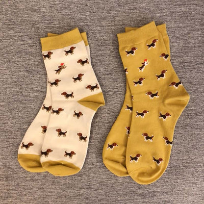 Chaussettes orange foncé pour teckel | NueShiny