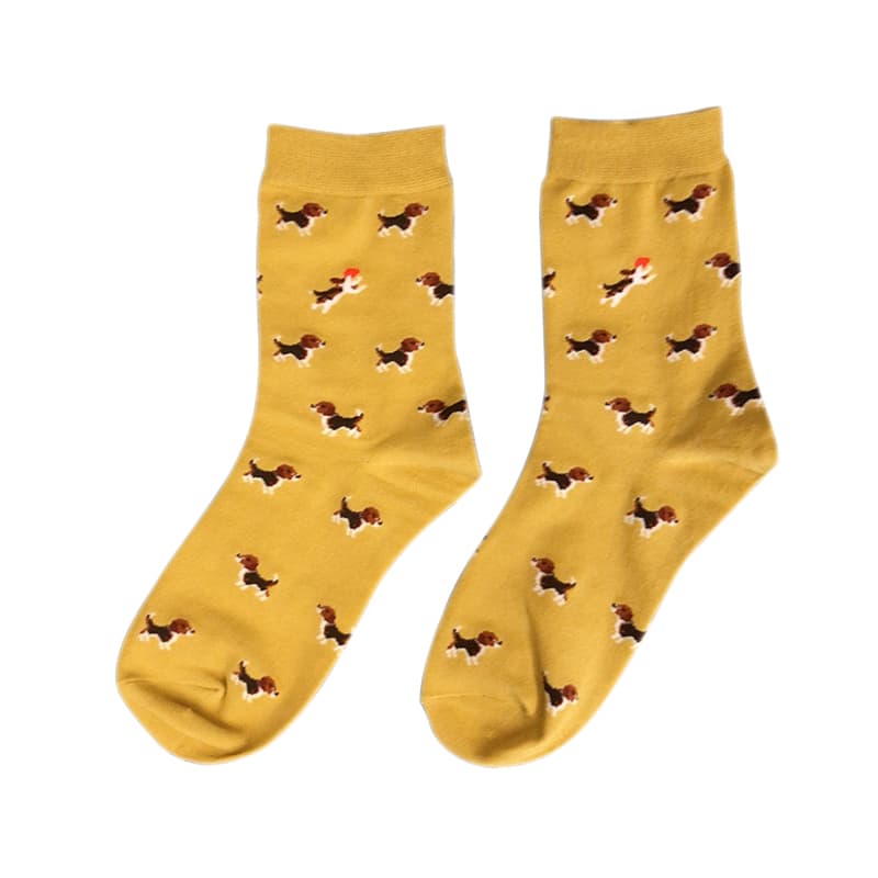 Chaussettes orange foncé pour teckel | NueShiny