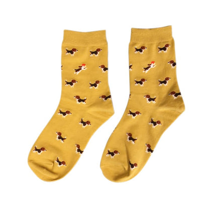 Chaussettes orange foncé pour teckel | NueShiny