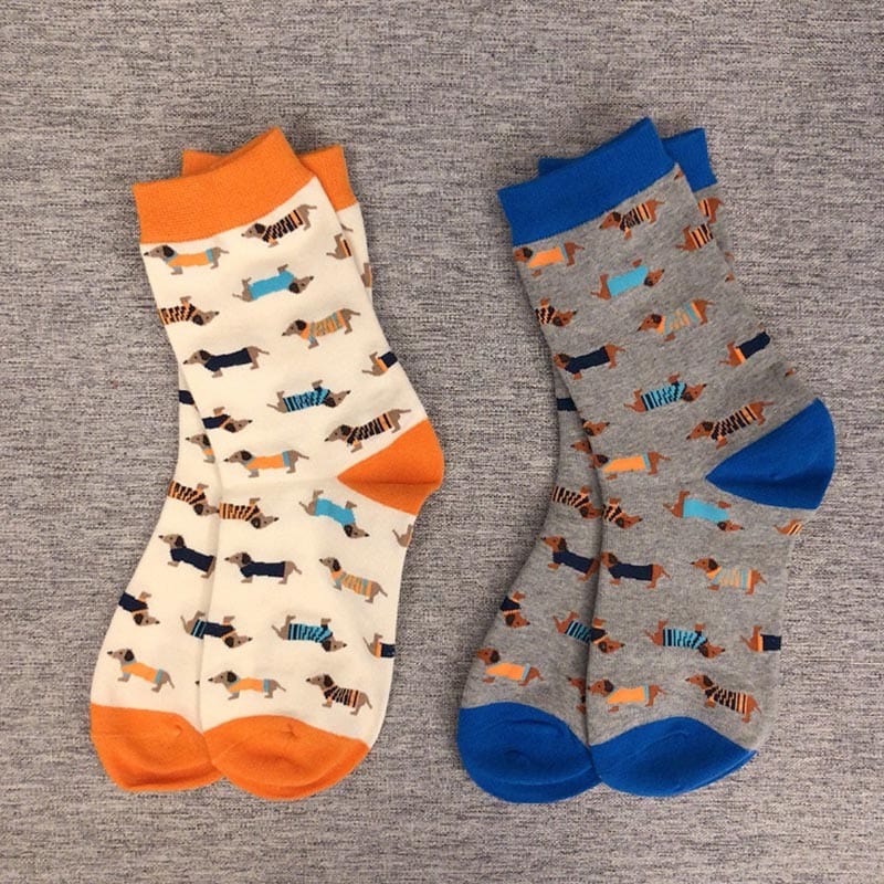 Chaussettes orange teckel | NueShiny