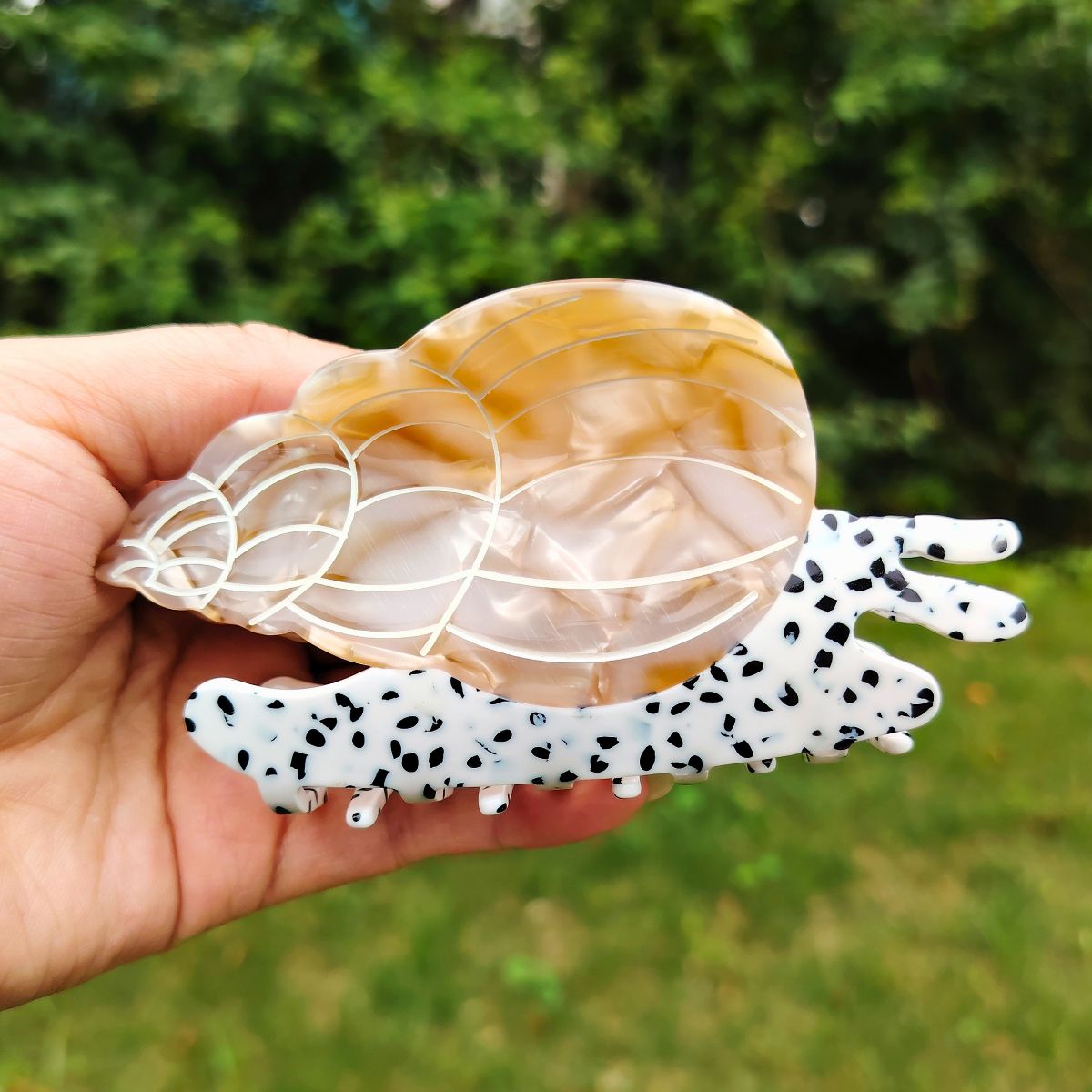 Large Textured Conch Shell Hair Claw 4 Colors