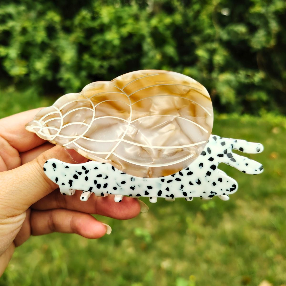 Large Textured Conch Shell Hair Claw 4 Colors