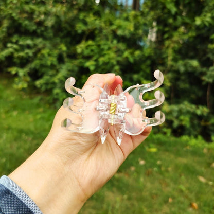 Transparent Diamond  White Mother & Baby Butterfly Hair Claw Clips Set